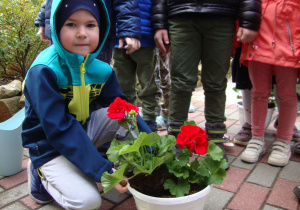Chłopiec sadzi kwiatka